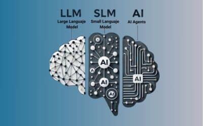 Opciones de Implementación de IA Generativa: LLMs, SLMs y Agentes para Transformar tu Negocio